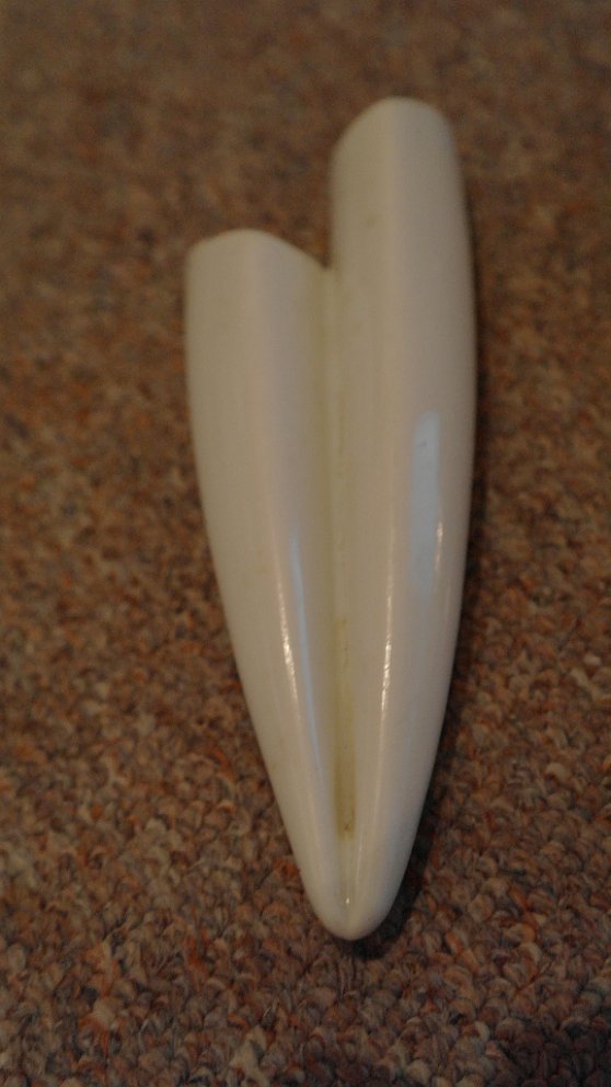 sam_1922 576x1024.jpg